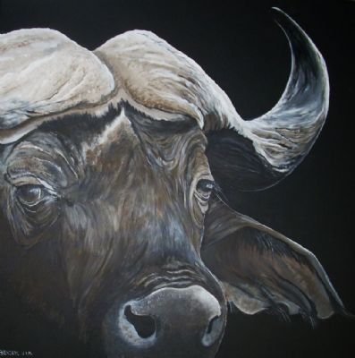 Buffalobul